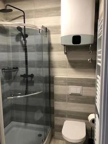 Bedroom With Bathroom Shower *