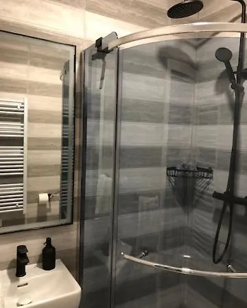 Apartment Bedroom With Bathroom Shower