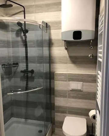 Bedroom With Bathroom Shower *